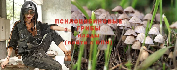 каннабис Горнозаводск